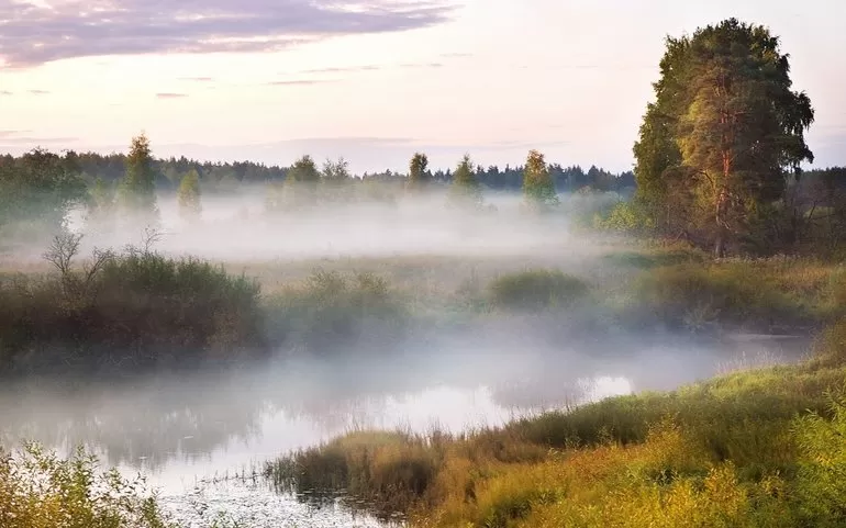 Что такое туман