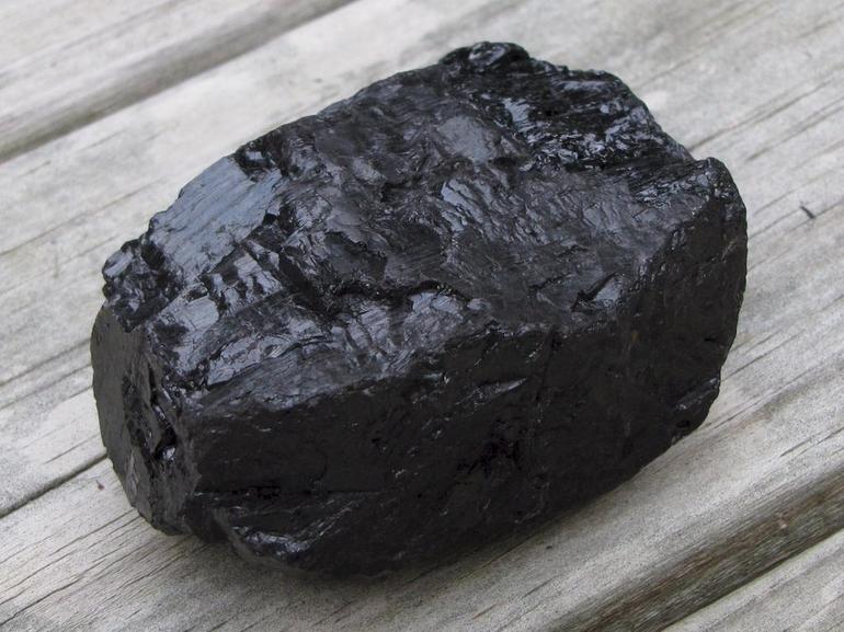 Происхождение каменного угля