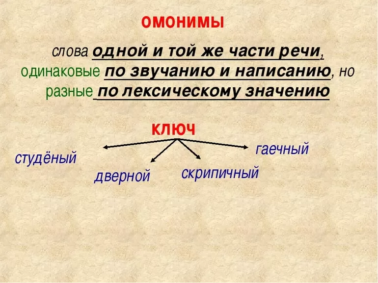 Слова омонимы