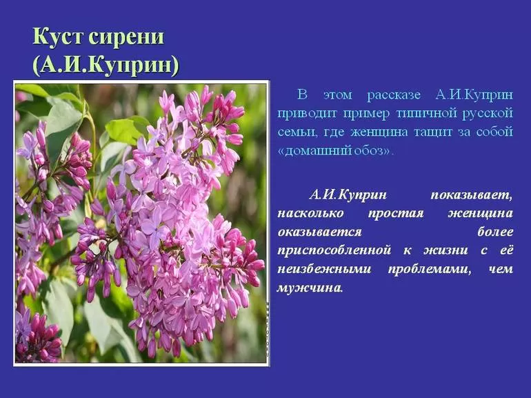История создания рассказа Куст сирени