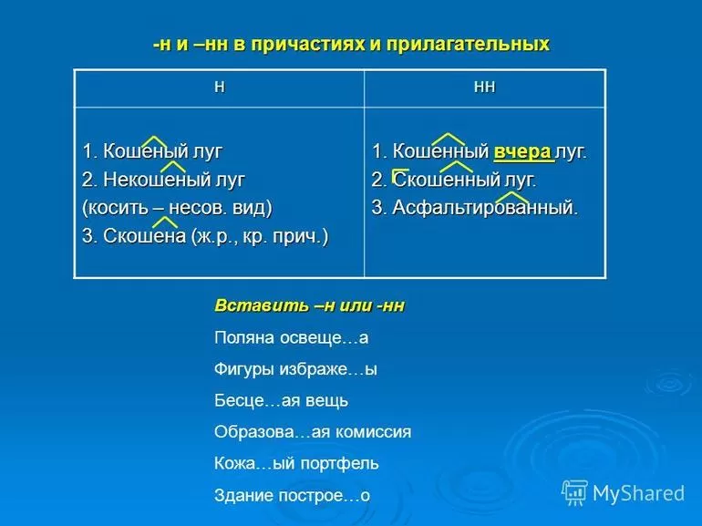Количество букв