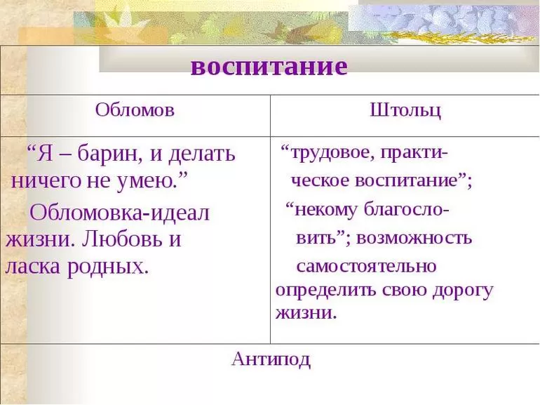 Роль Штольца в произведении