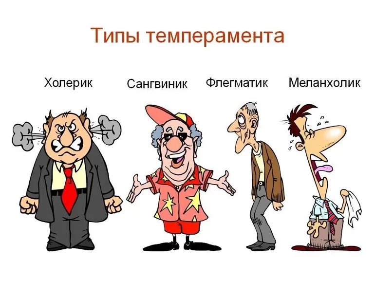 Четыре вида темперамента