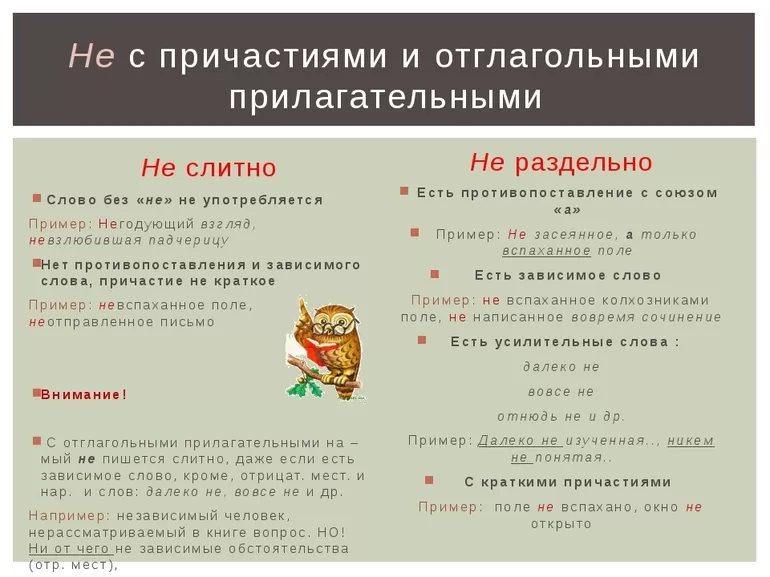 Правописание частицы не с разными частями речи
