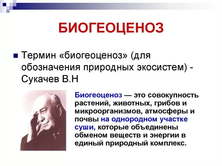 Определение «биогеоценоз»