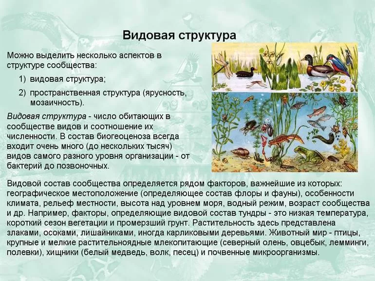 Биогеоценоз