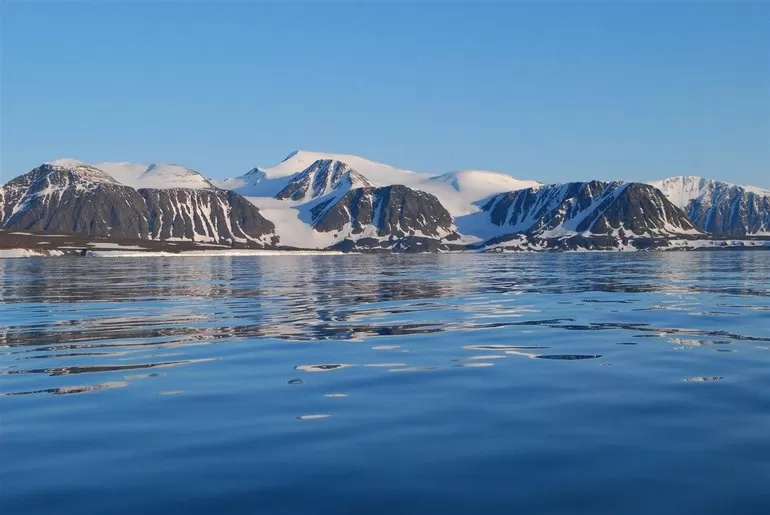 Обитатели карского моря