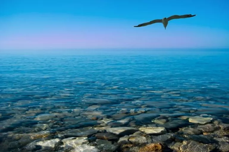 Чёрное море