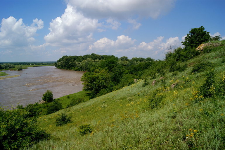 Растительный мир реки кубани
