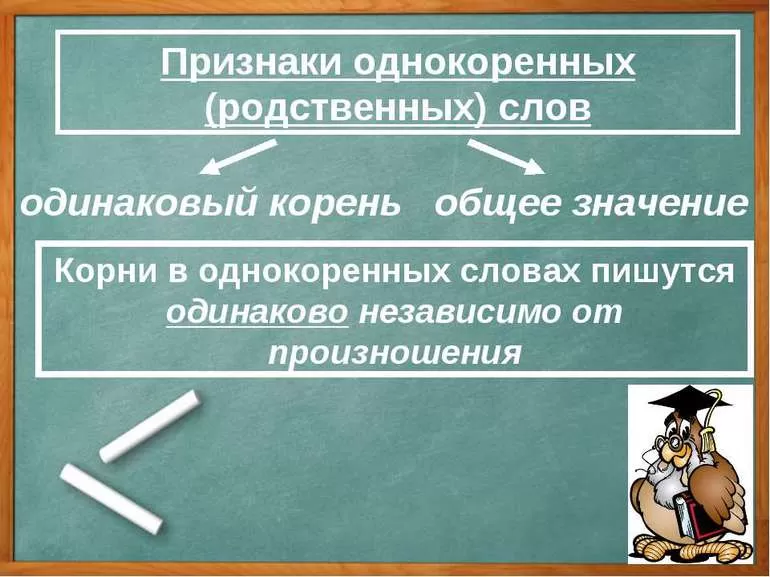 Признаки родственных слов