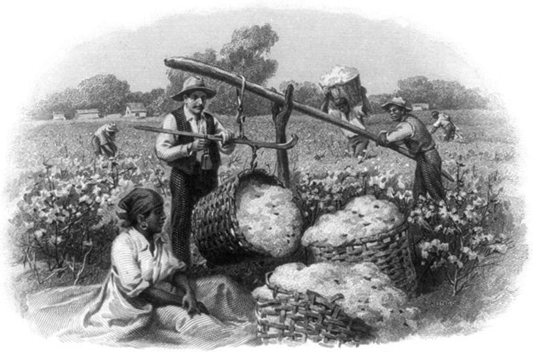 Хлопководство — это древнее ремесло