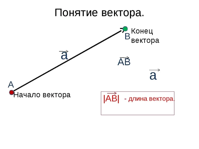 Начало вектора