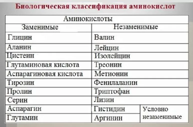 Значение АМК для нормального функционирования органов человека