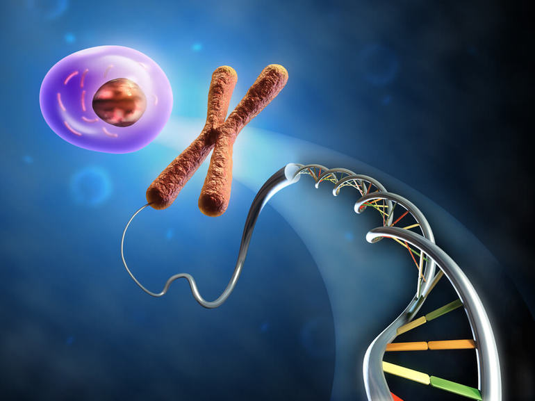 ДНК и гены