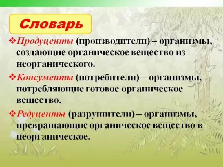 Продуценты, консументы. редуценты