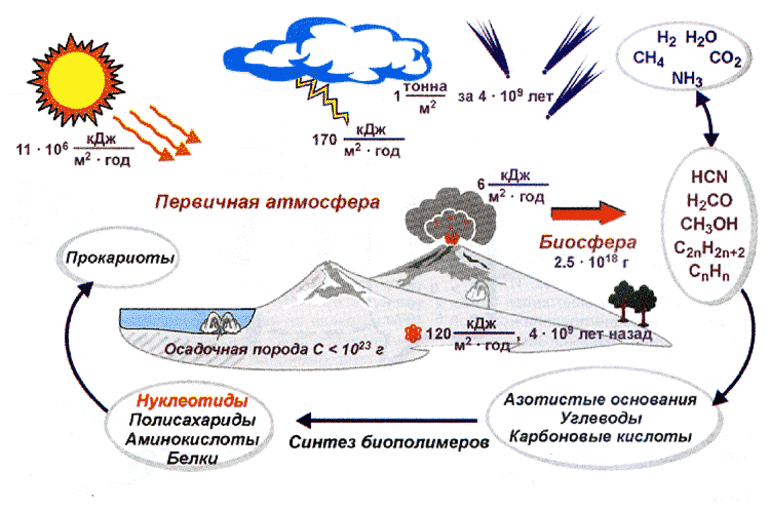 Опарин и холдейн ударение