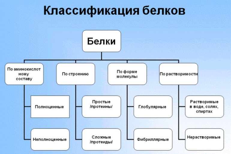 Опарин и холдейн ударение