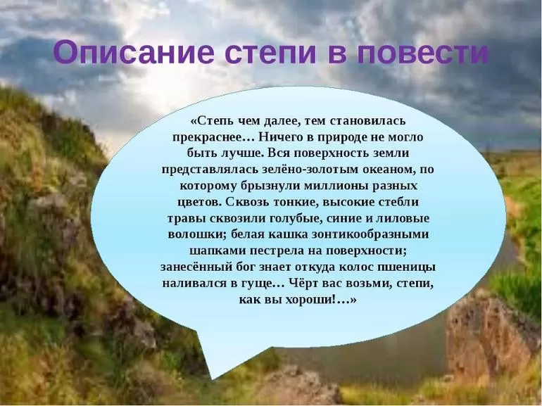 Описание степи в повести «Тарас Бульба»