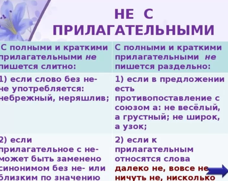 Правописание «не с прилагательными»