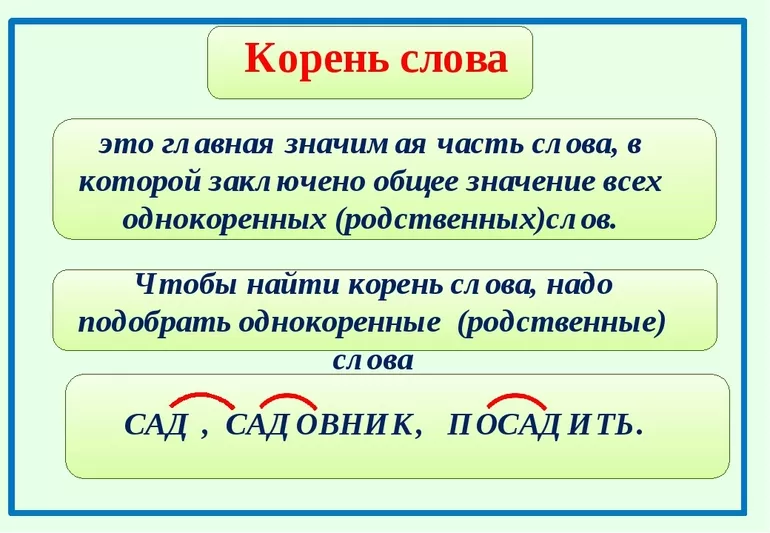 Корень
