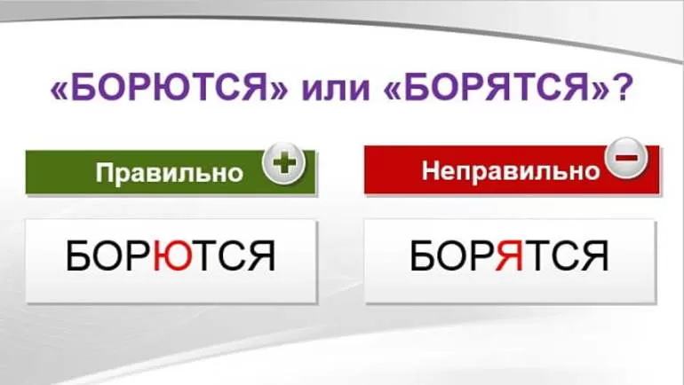 Глагол борются или борятся, морфемы, синонимы и спряжение