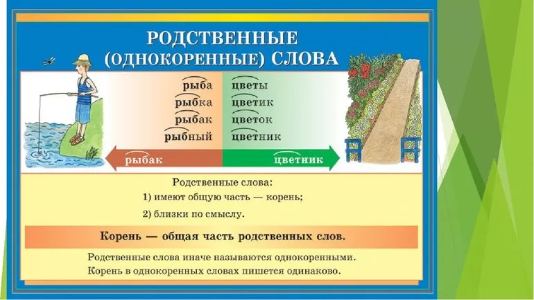 Пример однокоренных слов