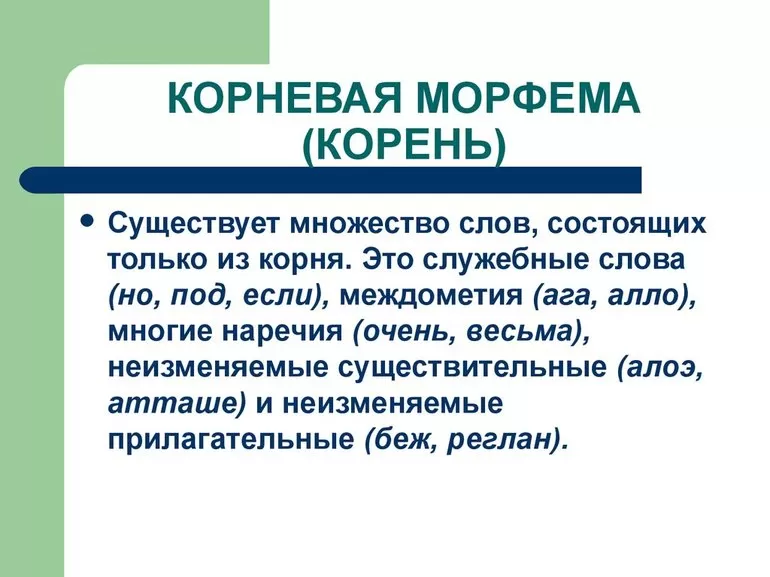 Корневая морфема
