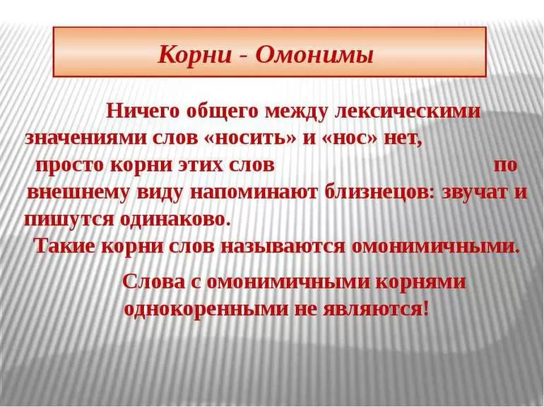 Омонимичные корни