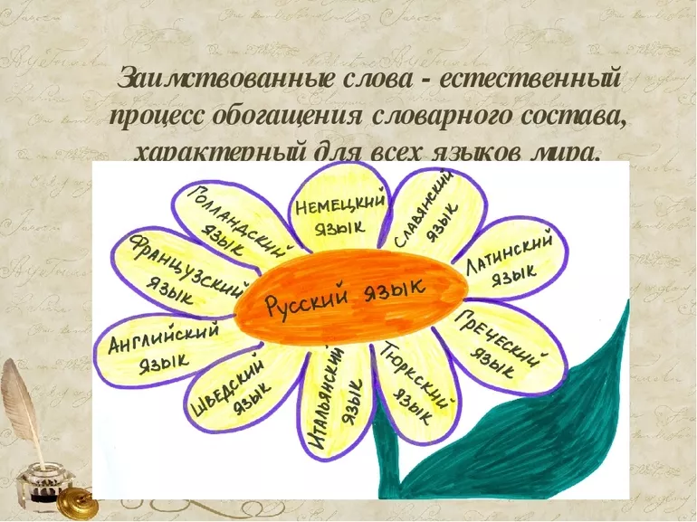 Признаки, по которым их можно отличить заимствованные слова