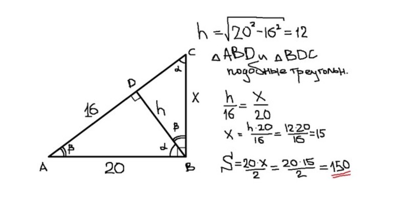 Как найти площадь прямоугольного треугольника 