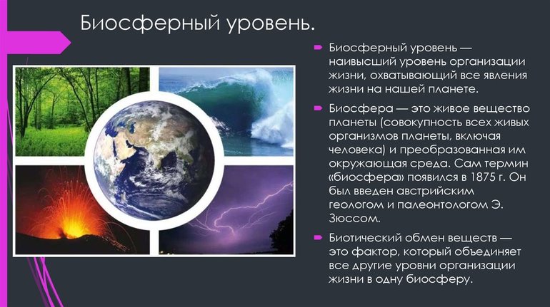 Биосферный уровень