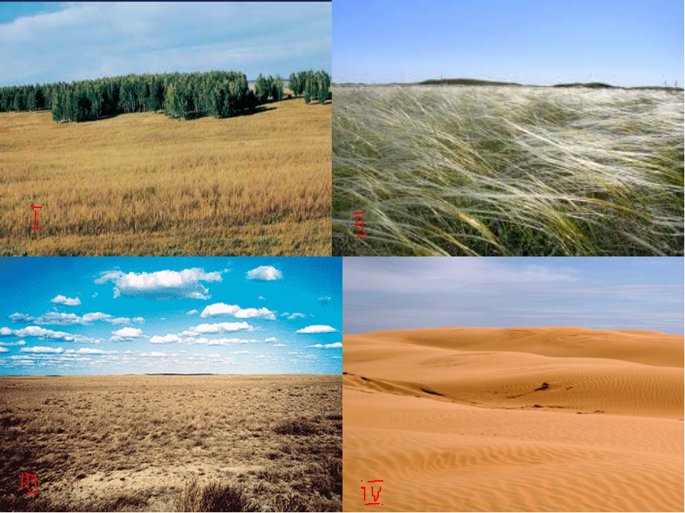Природные особенности казахстана. Природные зоны Казахстана лесостепь. Пустыня степь лесостепь полупустыня. Лесостепи и степи климат. Лесостепи степи и полупустыни.