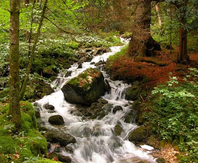 Под камень вода не течет. Лежачий камень. Лежачий камень вода. Подлежащий камень вода не. Под камень вода не.