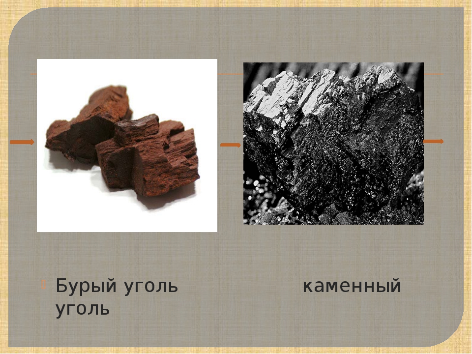 Вид бурого угля. Бурый уголь (лигниты), каменный уголь, антрацит, графит.. Полезное ископаемое каменный и бурый уголь-. Отличие бурого угля от каменного угля. Бурый и каменный уголь отличия.