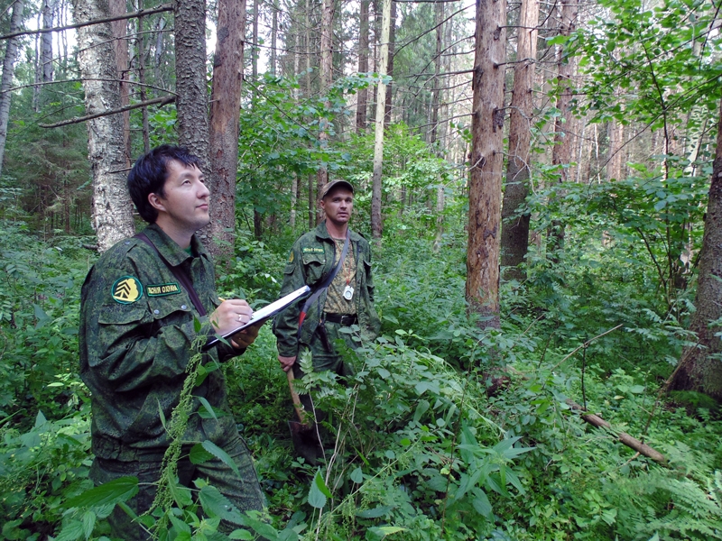Охрана лесов в россии