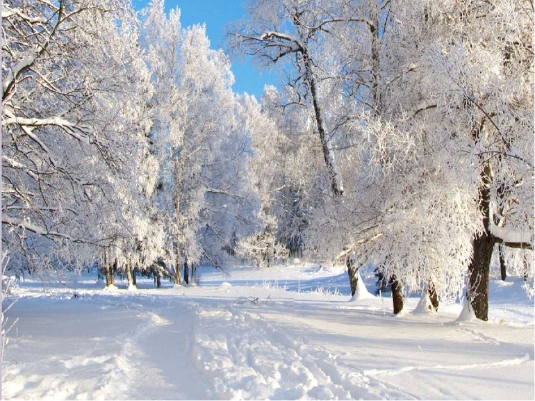 Описание зимней природы 