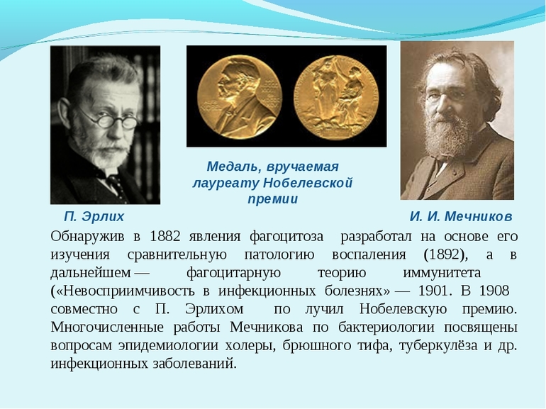 И. Мечников и П. Эрлих были удостоены Нобелевской премии