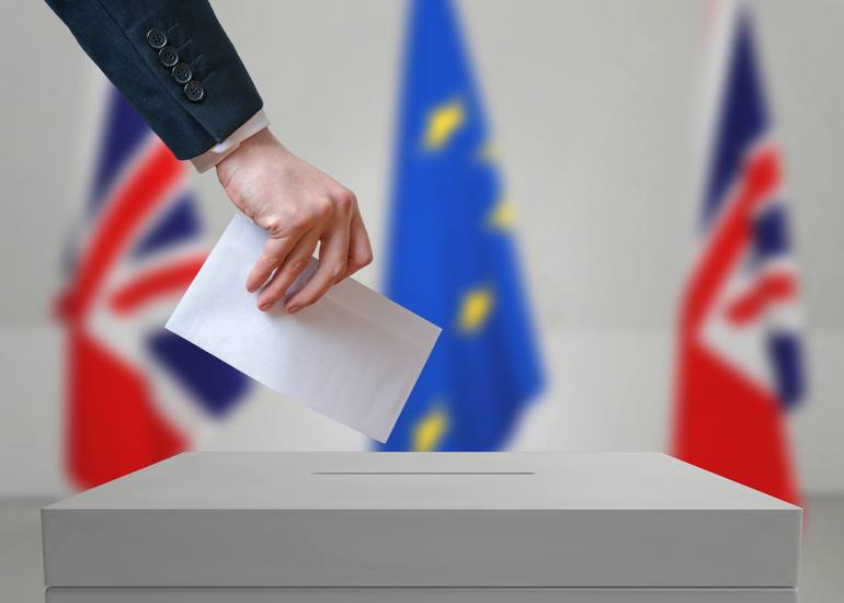 Что такое выборы и референдум