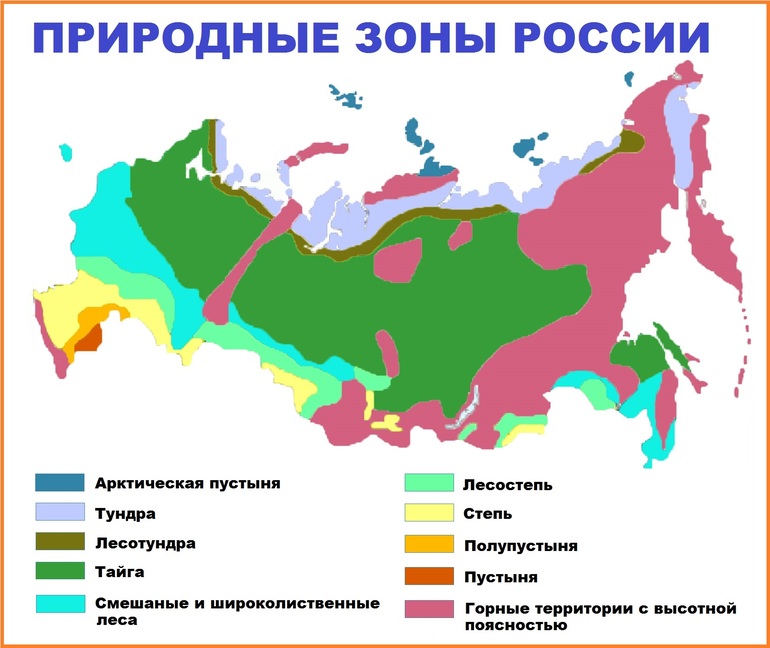 Природные зоны европейской части россии 