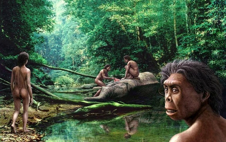 Предки Homo sapiens жили в густых лесах