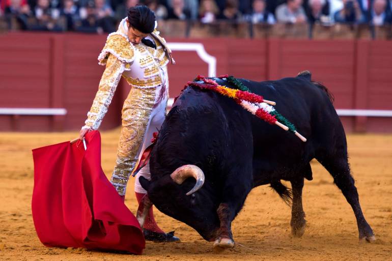 Бои быков в Севилье
