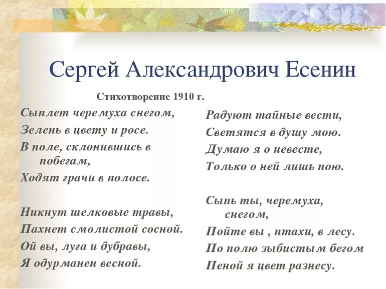 Стих «Сыплет черемуха снегом»