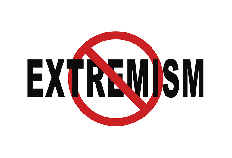 Мое отношение к молодежному экстремизму 