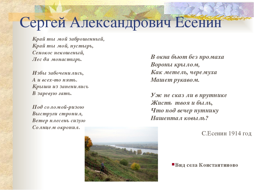 Анализ стихотворения край любимый есенин кратко. Край ты заброшенный Есенин. Есенин стихи край ты мой родной. Есенин стихи о родном крае. Стих Сергея Есенина край ты мой заброшенный.