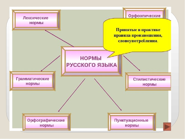 Основные лексические нормы современного русского литературного языка 