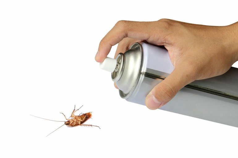 Травить тараканов