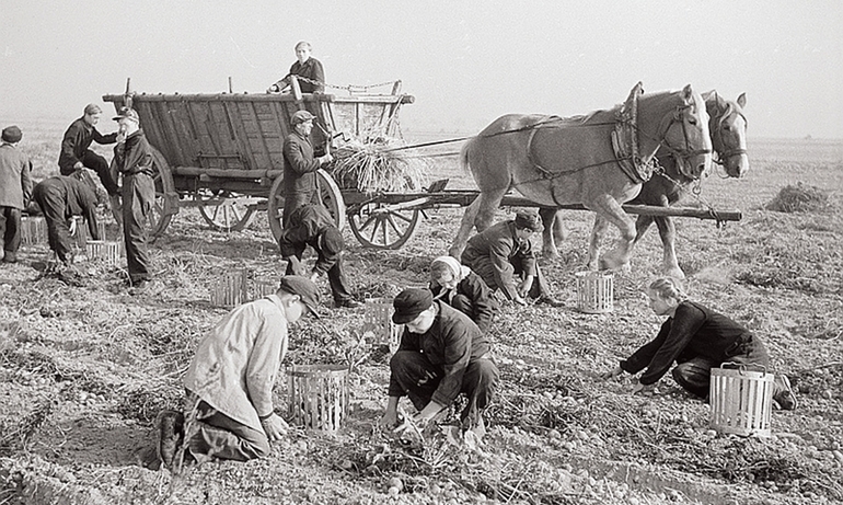 Сельское хозяйство 19 века