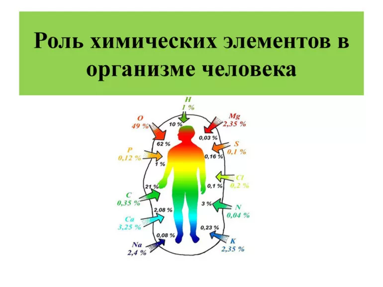 Значение химических элементов в организме человека