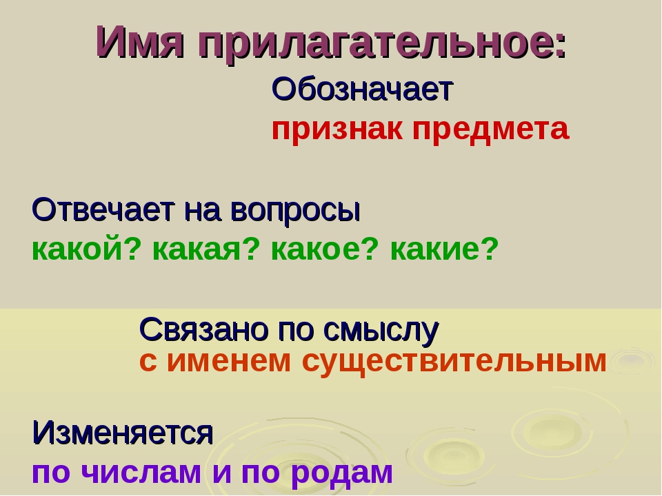 3 в русском языке прилагательное