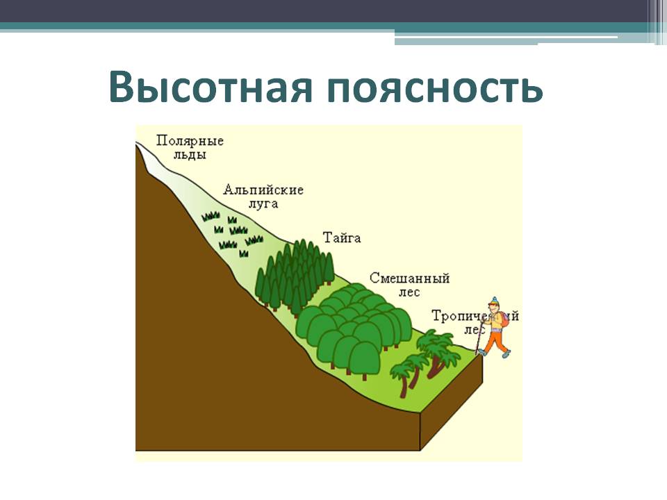 Рельеф где расположен природный комплекс. Природные зоны ВЫСОТНОЙ поясности. Высотная поясность гор. Высотная поясность в горах. Природные зоны России Высотная поясность.